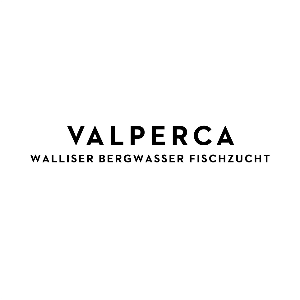 LOGO VALPERCA